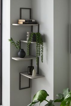 a corner shelf with some plants on it