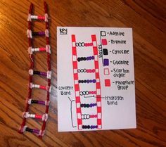 a red and white striped ladder next to a piece of paper on a wooden table