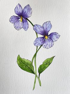 watercolor painting of two purple flowers with green leaves