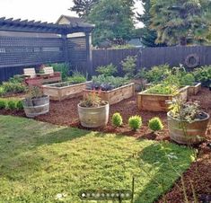 an outdoor garden with many different types of plants and flowers in wooden containers on the ground