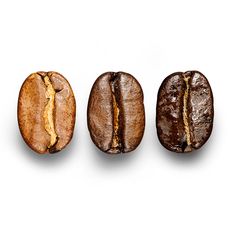 three different types of coffee beans