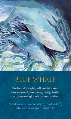 the blue whale book cover is shown with an image of two dolphins swimming in water