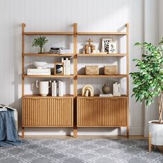 a living room filled with furniture and a potted plant on top of a wooden shelf