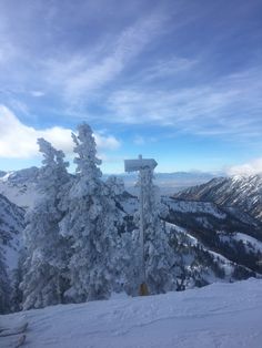 a snow covered ski slope with trees and mountains in the background