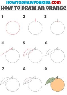 how to draw an orange for kids with easy step by step drawing instructions and pictures