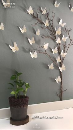 a potted plant sitting on top of a table next to a wall mounted with butterflies