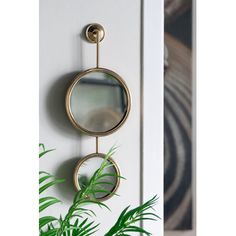 a round mirror hanging on the side of a white door next to a potted plant