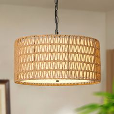 a light fixture hanging from a ceiling in a room with a potted plant behind it