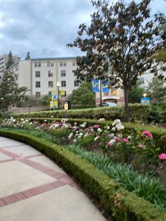 a man riding a skateboard down a sidewalk next to a lush green park filled with flowers