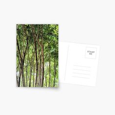 a postcard with an image of trees in the forest on it's side