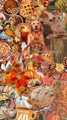 a collage of many different items including pies, pumpkins and other foods