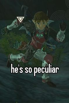 the legend of zelda meme is so peculiar that he's so peculiar