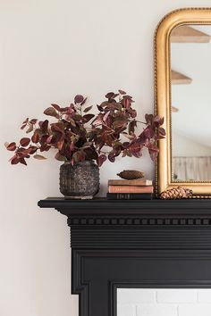 there is a potted plant on top of a mantle with a mirror above it