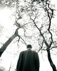 a man standing in front of trees looking up at the sky with his back to the camera