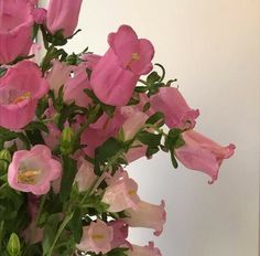 a vase filled with pink flowers on top of a white tablecloth covered floor next to a wall