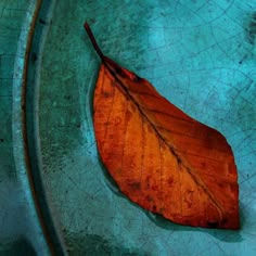 an orange leaf laying on top of a metal bowl