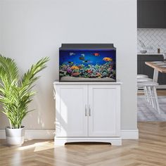 a fish tank sitting on top of a white cabinet next to a potted plant