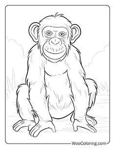 a monkey sitting on the ground with his legs crossed and eyes wide open coloring page