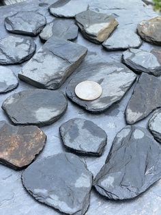 a coin sitting on top of some rocks