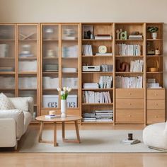 a living room filled with furniture and bookshelves next to a white couch on top of a hard wood floor