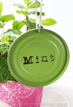 a green plate with the word mint written on it hanging from a plant in a pot