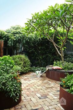 a garden with lots of green plants and trees in the back yard, surrounded by brick pavers