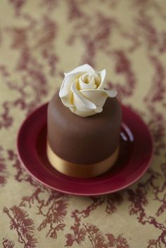 a small chocolate cake with a white rose on top