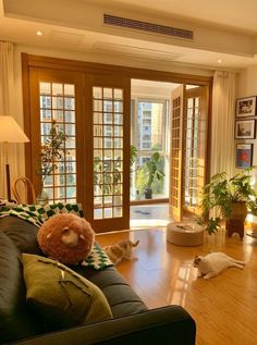 a living room filled with furniture and lots of cats laying on the floor next to it