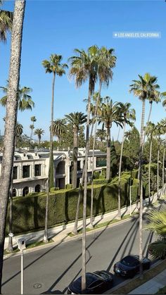 palm trees line the street in front of a house