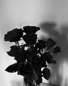 a vase filled with roses sitting on top of a table next to a white wall