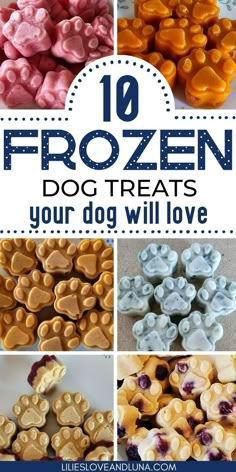 the top ten frozen dog treats that you will love