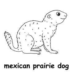 an animal that is sitting down with the words mexican prairie dog