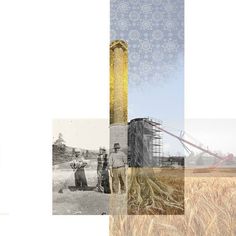 collage of people standing in the middle of a wheat field with machinery behind them