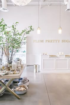 a room filled with lots of white furniture and plants in vases on top of tables