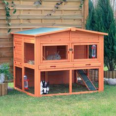 an outdoor rabbit hut with two rabbits in it's cage and one on the ground