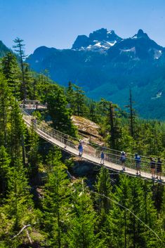 people walking across a suspension bridge over a forest filled with tall trees and mountains in the background