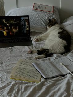 a cat laying on top of a bed next to an open book and laptop computer