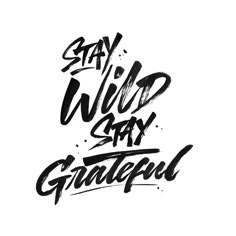 the words stay wild say grateful written in black ink