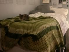 a cat sitting on top of a bed under a blanket