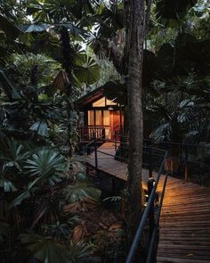 a small cabin in the middle of some trees and plants with lights on it's porch