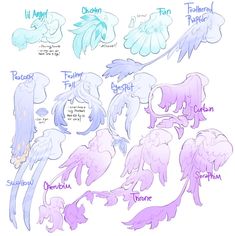 an image of some different types of wings and their names in purple, blue, and white