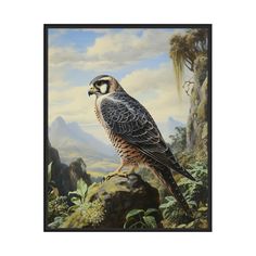 a painting of a falcon perched on a rock in the jungle with mountains and clouds behind it