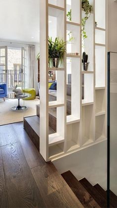 a living room filled with lots of furniture and plants on shelves next to a glass door