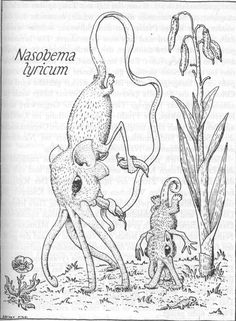 an octopus and other animals are depicted in this black and white illustration, with the caption's title above it