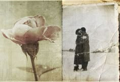 an old photo with a rose and a man kissing each other in the middle one has faded paper on it