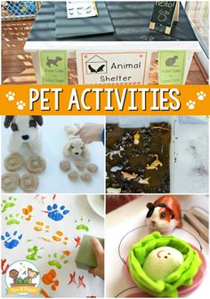 there is a collage of pictures with animals and pets in them, including the words pet activities