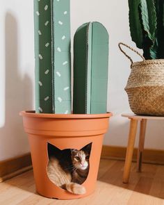 a cat sitting in a flower pot on the floor next to some cactus planters