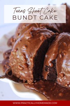 chocolate cake with frosting on a white plate and text overlay reads texas sheet cake bundt cake