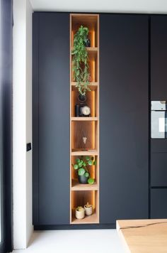 an open shelf in the corner of a room with potted plants and other items on it