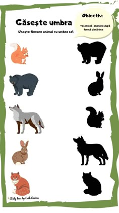 an animal shadow matching game for children to learn how to find which animals are on the opposite